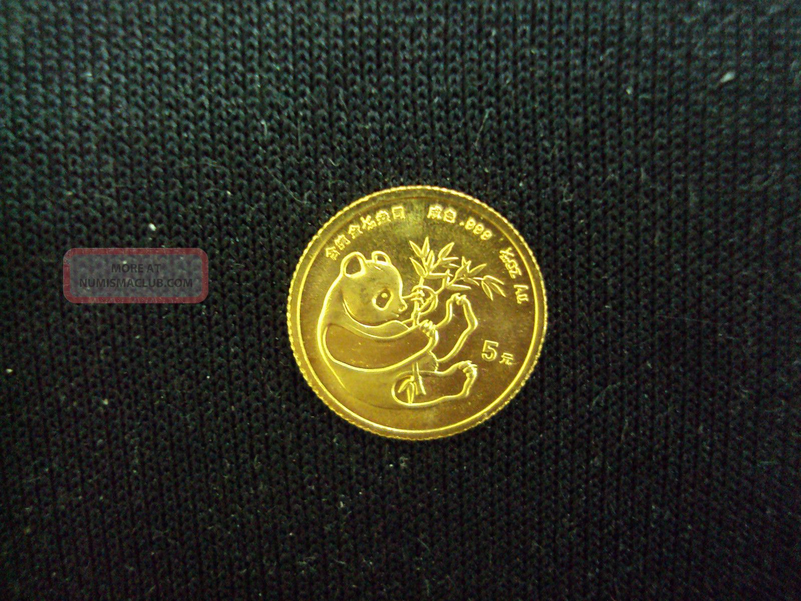 Coinhunters - 1984 China Panda 5 Yuan 1/20 Oz.  Gold.  999 Fine,  Au - Polished China photo