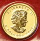 Canadian Gold Maple Leaf 2014 1/10 Oz.  999% Bu Great Collector Coin Gift Gold photo 1