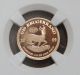 2009 South African Gold Krugerrand 1/10th Oz Bullion Ngc Pf69 Ultra Cameo Gold photo 2