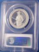 2012 W American Eagle Statue Of Liberty 1 Oz Platinum Proof Coin Pcgs Pr69dcam Platinum photo 4