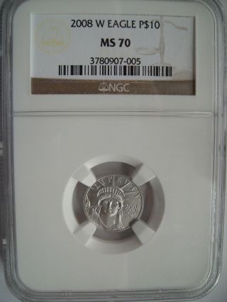 2008 W Burnished $10 Platinum Eagle Ngc Ms70 Perfect Rare photo
