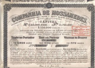 Angola Colonial Portugal 1926 Companhia Mossamedes £5 5 Shares Uncancelled Coup photo