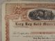 Antique 1916 Lazy Boy Gold Mines Company Stock Certificate Arizona San Francisco Stocks & Bonds, Scripophily photo 1