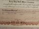 Antique 1916 Lazy Boy Gold Mines Company Stock Certificate Arizona San Francisco Stocks & Bonds, Scripophily photo 4