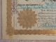 Antique 1896 Acacia Burns Morning Star Co.  Gold Mining Company Stock Certificate Stocks & Bonds, Scripophily photo 2