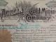 Antique 1896 Acacia Burns Morning Star Co.  Gold Mining Company Stock Certificate Stocks & Bonds, Scripophily photo 5