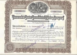 Tamarack & Custer Consolidated Mining Company. . . .  1917 Stock Certificate photo