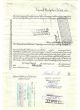 100 Share Pennsylvania Railroad Stock Certificate 1955 Beach Horse Pa Rr History Transportation photo 2