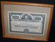 Vtg 1951 Packard Motor Car Company Stock Certificate Framed 1950s Automobile Transportation photo 1