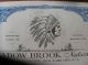 The Meadow Brook National Bank Stock Certificate - Indian Logo Stocks & Bonds, Scripophily photo 11