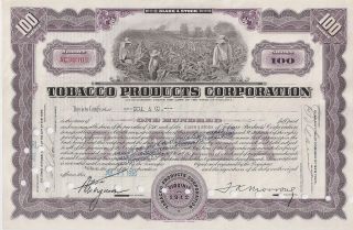 Tobacco Products Corporation. . . . . .  1930 Stock Certificate photo