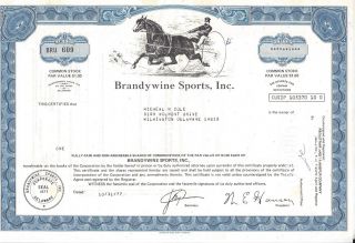 Brandywine Sports Inc. . . . . .  1977 Stock Certificate photo
