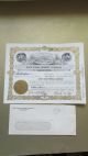 Circa 1964 East Utah Mining Company Stock Certificate Uncancelld Park Mining Stocks & Bonds, Scripophily photo 3