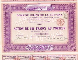 Africa Algeria Domaine Julien De La Guethna Stock Certificate 1931 photo