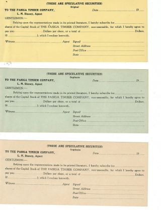 Pasiga Timber Company,  Chicago,  Il - Subscription Forms For Stock Circa 1919 photo