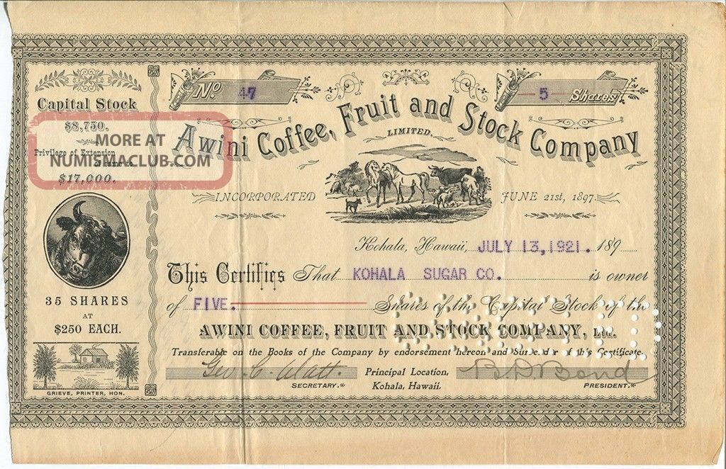 Rare Vintage Hawaii Stock Certificate:awini Coffee,  Fruit And Stock Co. Stocks & Bonds, Scripophily photo