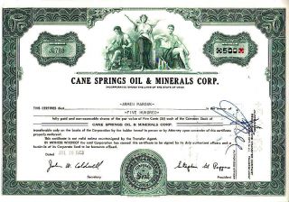 Cane Springs Oil & Minerals Corp.  Ut Stock Certificate photo
