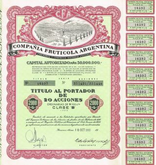 Argentina The Argentina Fruit Company Stock Certificate photo