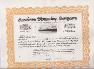 Americn Steamship Company. . . . . .  Unissued Stock Certificate photo
