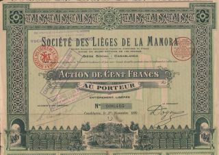 Morocco Cork Farms Of Mamora Stock Certificate 1920 photo