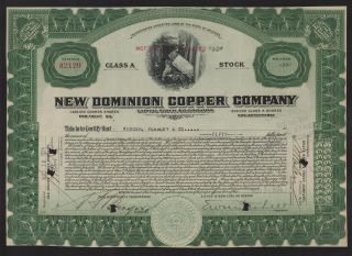 Usa Dominion Copper Company Stock Certificate photo
