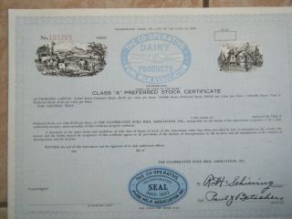 Blank Stock Certificate 