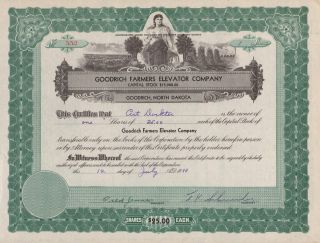 Usa Goodrich Farmers Elevator Co Stock Certificate photo