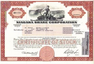 Niagara Share Corporation Md 1990 Stock Certificate photo