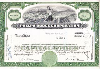 Broker Owned Stock Certificate - - Orvis Brothers & Co. photo