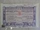 Greece.  Stock Certificate Year 1948,  Chemicals & Fertilizers Co.  Title 25 Shares World photo 9