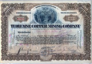 Tuolumne Copper Mining Company Stock Certificate Arizona photo