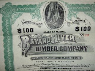 Bayano River Lumber Company 1909 photo