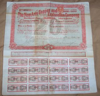 South Africa 1900 Ario Copper & Exploration Co 20 Shares Coupons Uncancelled photo