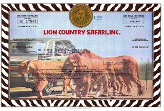Lion Country Safari,  Inc.  1980 Stock Certificate photo