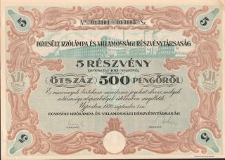 Hungary United Light Co Stock Certificate 1930 5 Sh photo