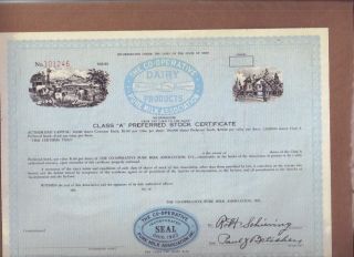 The Co - Operative Pure Milk Association Dairy Products Stock Certificate photo