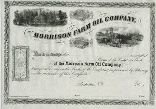 Usa Morrison Farm Oil Company Stock Certificate 186_ photo