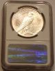 1922 P Peace Silver Dollar Ngc Ms 64; Brilliant Silvery White Dollars photo 1