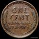 1909 Vdb Grade Lincoln Wheat Cent Small Cents photo 1