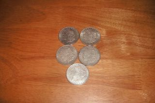 Five 1921 Silver Morgan Dollars,  Two 1921 - D And Three 1921 - P photo