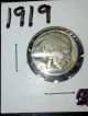 1919 P Buffalo Nickel Nickels photo 1