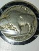 1919 P Buffalo Nickel Nickels photo 3