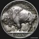 1924 - P Grade Buffalo Nickel Nickels photo 1