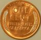 1955 D Lincoln Wheat Penny,  Bu 109 Small Cents photo 1