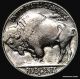 1935 - S Choice Buffalo Nickel Nickels photo 1