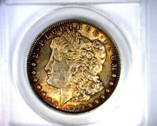 Ms60 Anacs Beautifully Toned 1889 Vam 10 Morgan Silver Dollar U.  S.  Coin 1889 photo