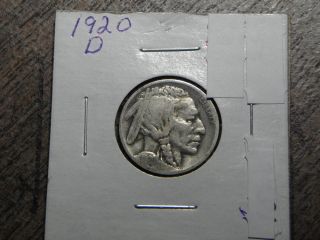1920 D Very Good+ Beter Date Buffalo Nickel photo