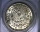 Ms63 Anacs 1921 Top 100 Vam 41b Morgan Silver Dollar United States Coin 1921 Dollars photo 3