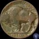 1918 P Great Tone Buffalo Nickel 5c 75 Nickels photo 1