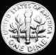 1976 S Roosevelt Proof Dime Dimes photo 1